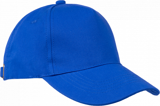 Бейсболка васильковая, электрик